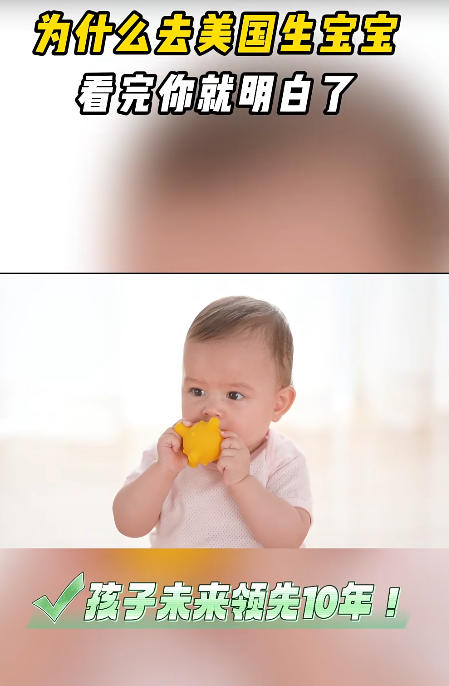 ��������Ȩ